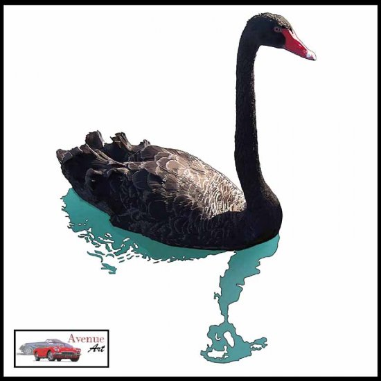 BLACK SWAN CANVAS ART PRINT