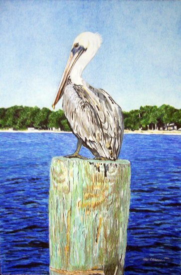 The Pelican Watch
