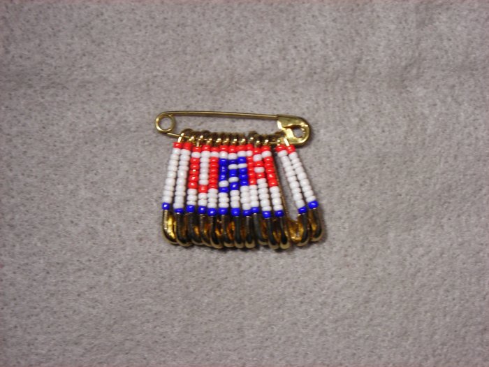 LC802F - Med Patriotic Friendship pins