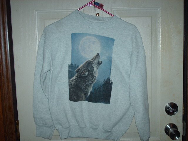 Boys Gently Worn Sweatshirt with Wolf Picture Size Small