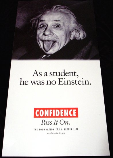 Albert Einstein * CONFIDENCE * Original Poster 2' x 4' Rare 2007 New