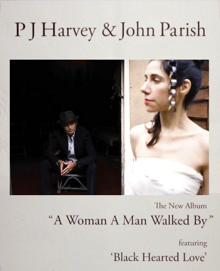 P J HARVEY & JOHN PARISH Music Poster 2' x 3' Rare 2009 NEW