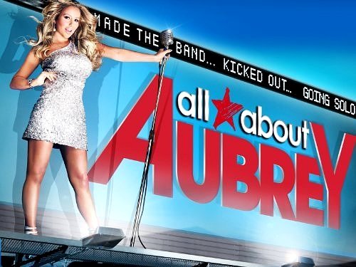 ALL ABOUT AUBREY Original Series Poster * OXYGEN * 2' x 3' Rare 2011 Mint