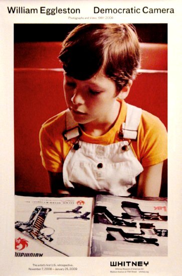 WHITNEY Museum Original Art Exhibition Poster * WILLIAM EGGLESTON * NYC 2' x 3' Rare 2008 Mint
