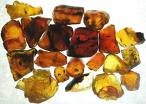 Tibetan Amber Premium Fragrance Oil