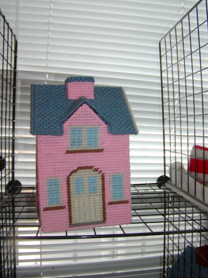 Pink plastic canvas house