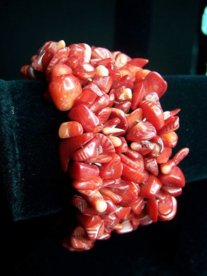 Australian Red Sea Coral