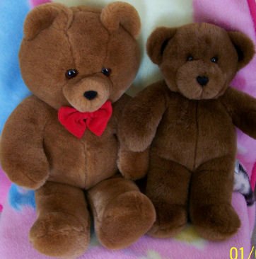 Lot of 2 Stuffed Animal Bears, Build - A - Bear, Dakin