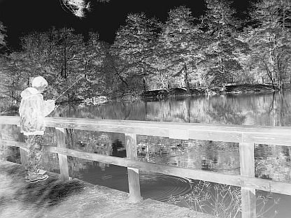 Fishing 4X6