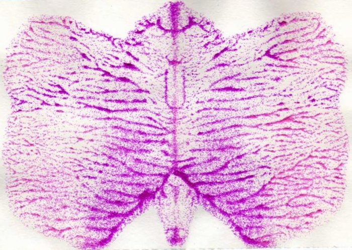 Butterfly Inkblot 4X6