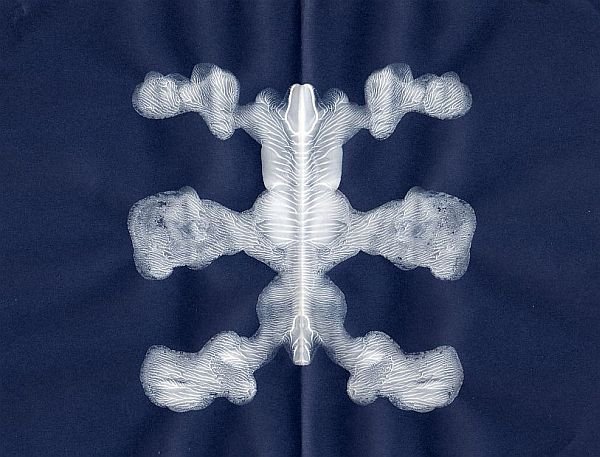 Ant Inkblot 8X10