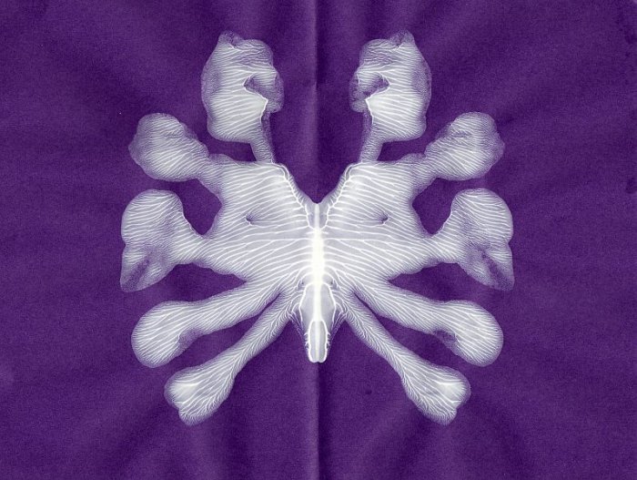 Crab Inkblot 8X10