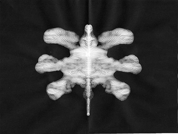 Horse-Shoe Crab Inkblot 8X10