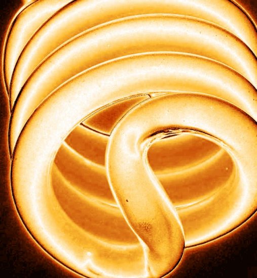 Orange Light 8X10