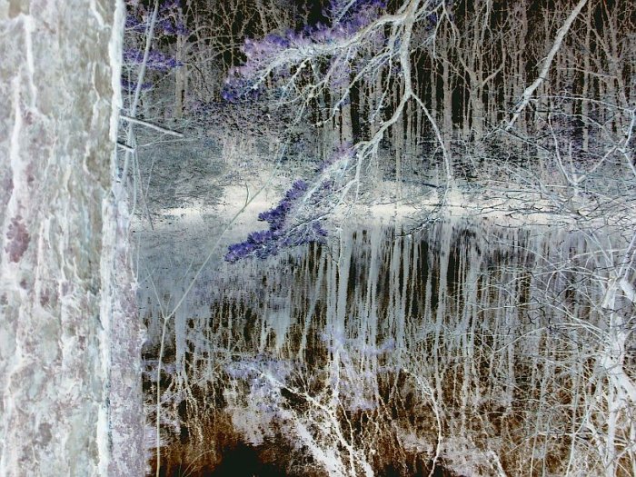 Reflection in Negative 8X10