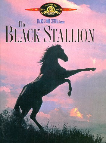 THE BLACK STALLION