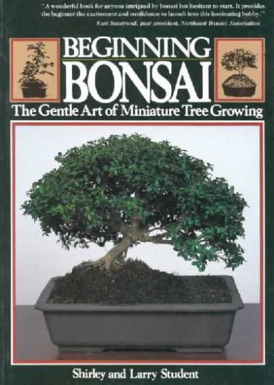 Beginning Bonsai