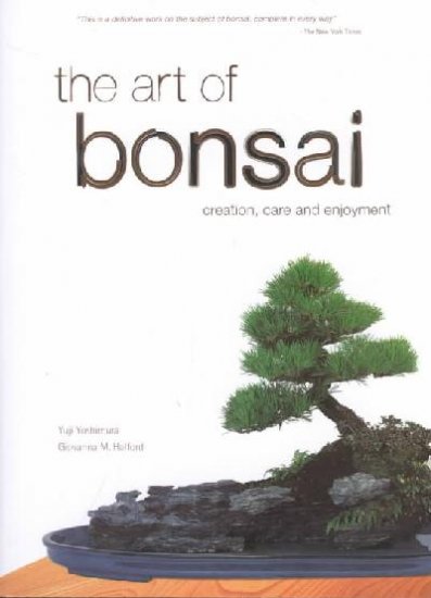 The Art of Bonsai