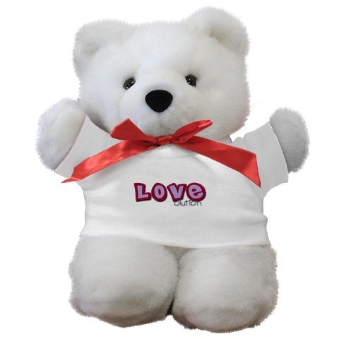 LOVEolution Soft Teddy Bear