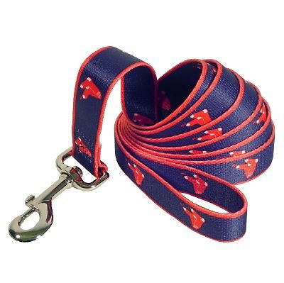 Boston Red Sox Logo Official MLB Dog Leash 6 Ft Size Narrow