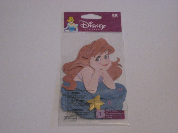 Disney *Ariel Portrait*