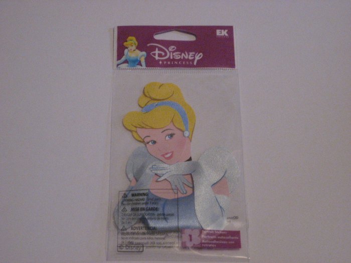 Disney *Cinderella Portrait*