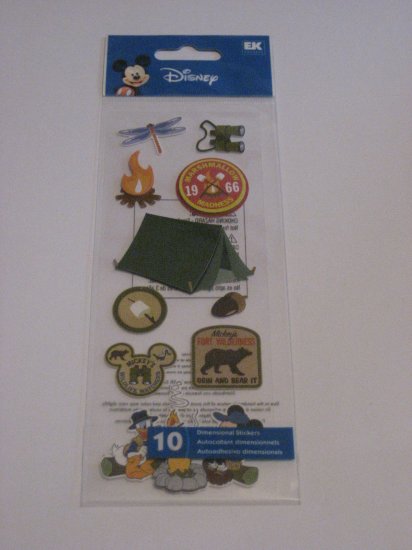 Disney *Camping*