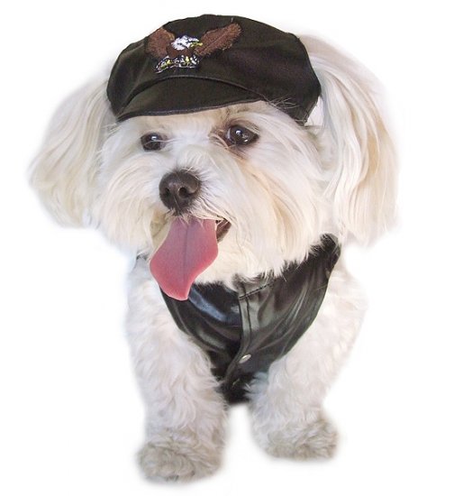 MOTORCYCLE CAP SMALL