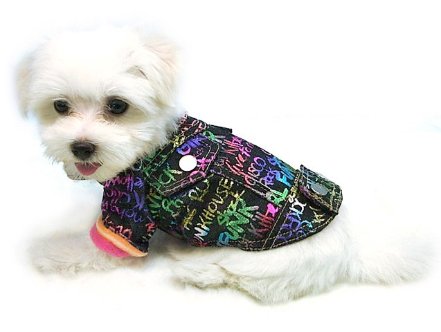 GRAFFITI JACKET