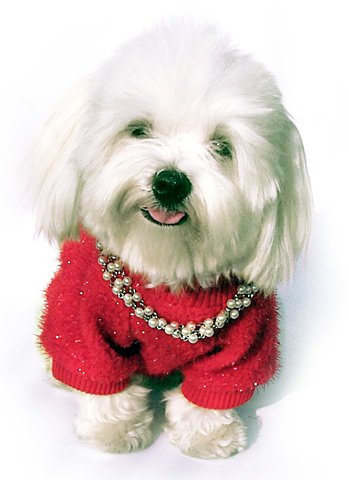 RED GLITTER KNITTED SWEATER W PEARLS