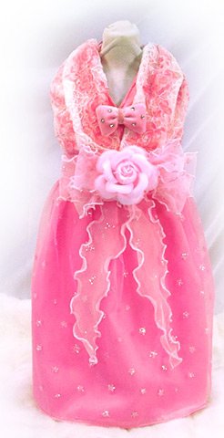EVENING GOWN