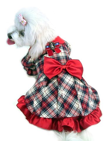 ANTIQUE PLAID DRESS