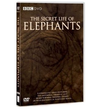 The Secret Life of Elephants DVD