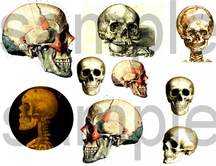 Antique SKULL Images Digital Collage Sheet