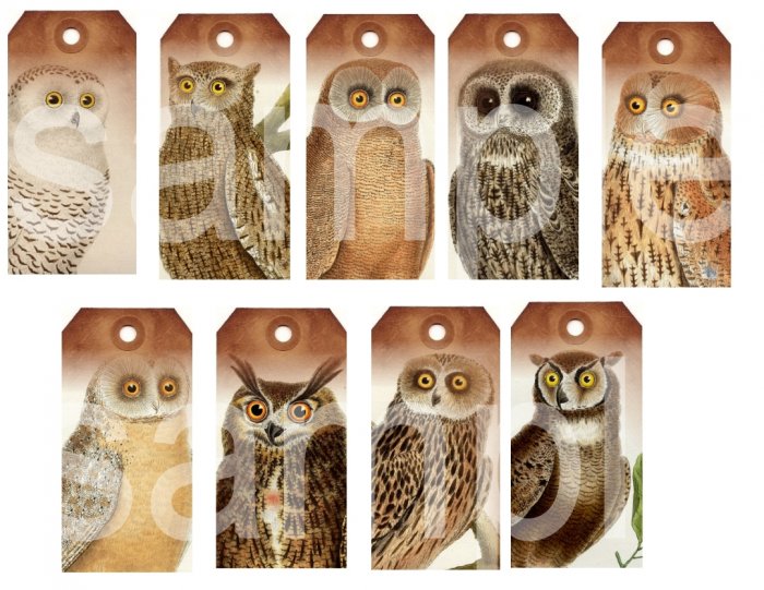 Grungy Vintage OWL Tags...Striking... Digital Collage Sheet