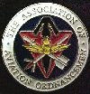 AAO Hat Pin