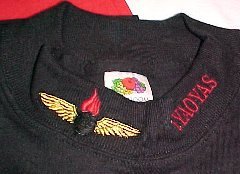 Black Long Sleeve Shirt with Embroidered Collar