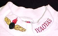 White Long Sleeve Shirt with Embroidered Collar