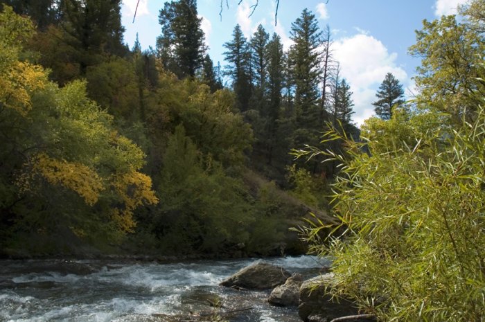 Logan River Rapids