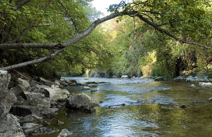 The Logan River