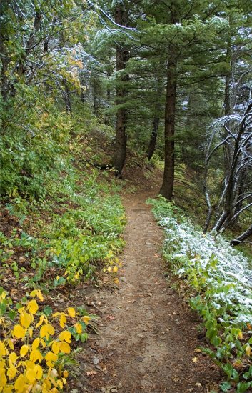 Guarded Trail