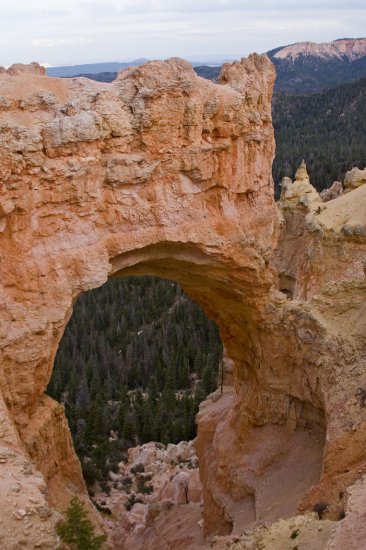Natural Arch