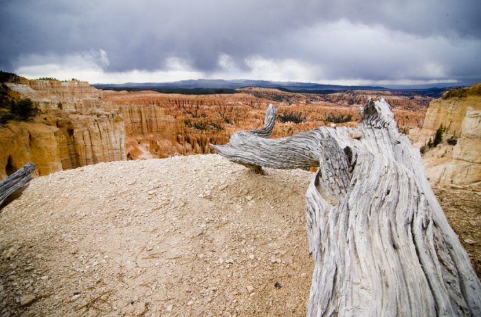 Heading Towards the Utah Wilderness