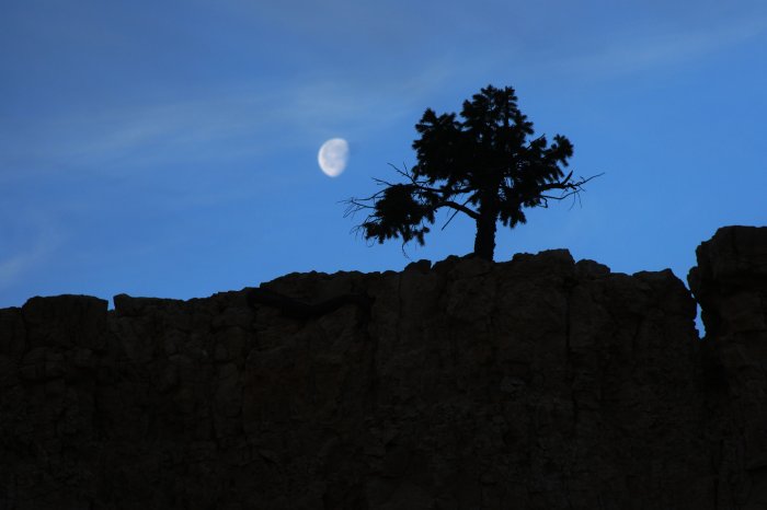 Moonset at Bryce Canyon