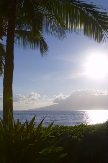 Overlooking Moloka'i