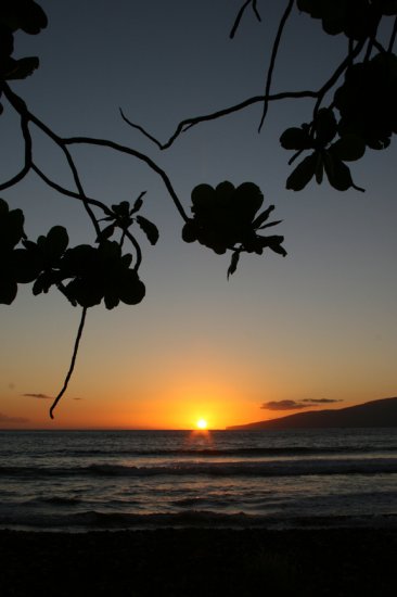 Maui Sunset