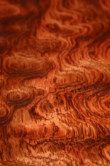 Cocobola