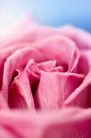 Layered Beauty