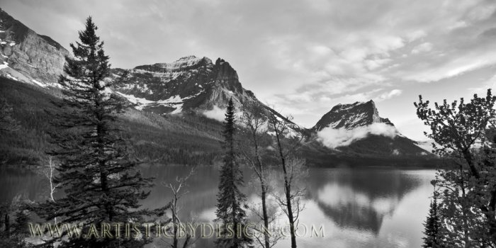 Majestic Reflections - 10"x 20" Signed Print