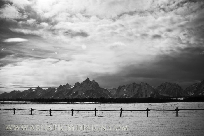 Stark Beauty - 20"x 30" Signed Print